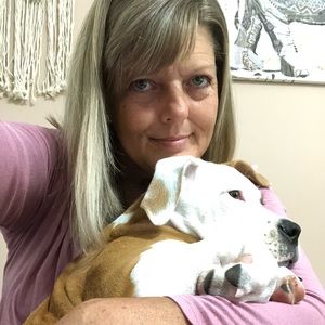 Meet your Posher, Amie